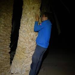 Zeit für ein paar Klimmzüge an der Palme, damit die Arme nicht ganz schlapp werden