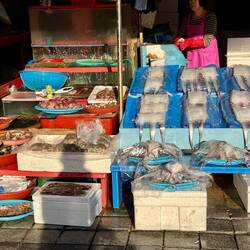 Some pictures in the enormous Jagalichi Fish Market.