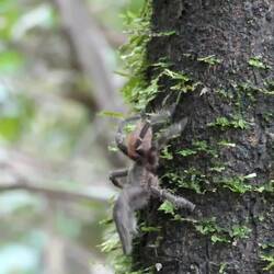Kaum beunruhigend, dass die hier so rumstolzieren
