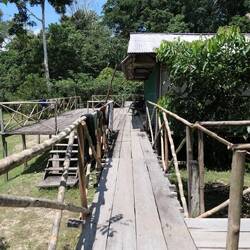 Wir starten in unseren dritten Dschungel-Tag