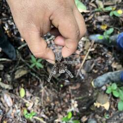 Unsere Guide hat keine Berührungsängste