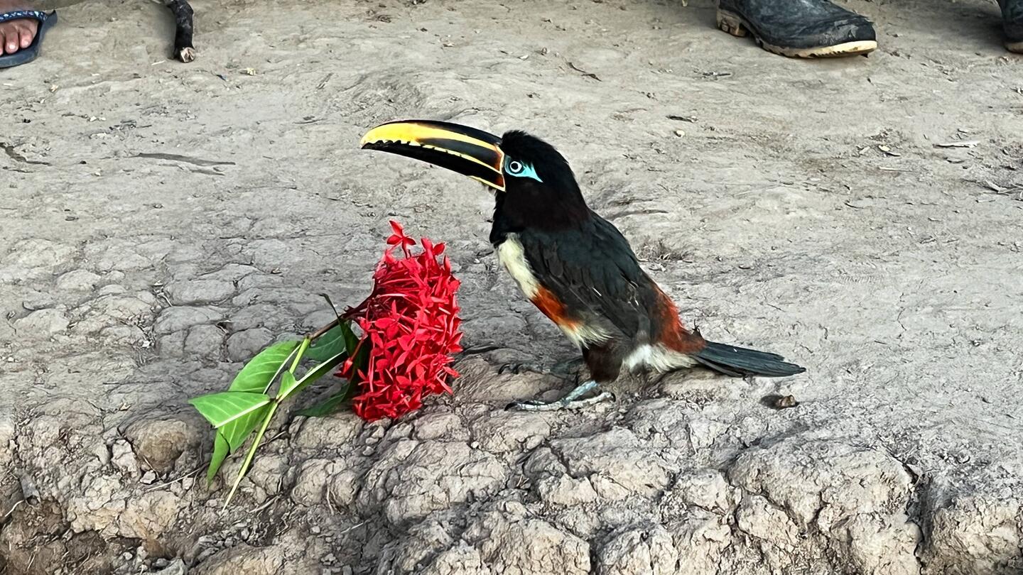 Heute sehen wir viele spannende Tiere