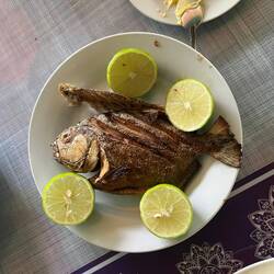 Nach der Angel-Session bereitet unser Guide den Piranha direkt zu