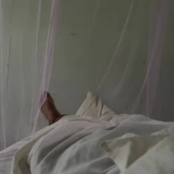 Die Tierwelt ist auch früh morgens aktiv