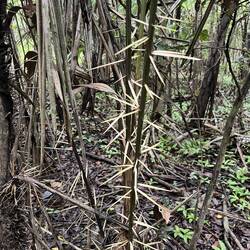 Jederzeit muss man aufpassen, wo man hinfasst