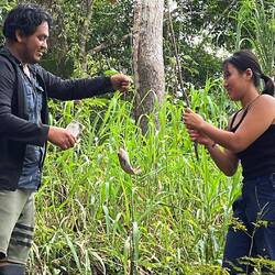 Die Koreanerin ist dabei etwas erfolgreicher und zieht immer wieder einen Fisch an Land