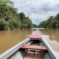So fahren wir drei Stunden lang tiefer in den Regenwald