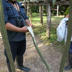 Tanjas neue Lieblingsfrucht