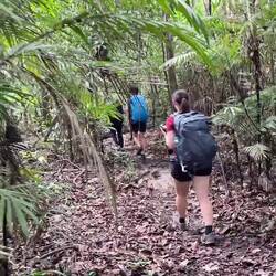 Besonders aufpassen muss man bei den vielen stachligen Pflanzen
