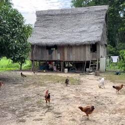 Eine einsame Hütte auf dem Weg zu unserer Unterkunft
