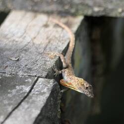 Schon an unserer Unterkunft gibt es spannende Tiere