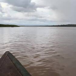 Auf der Suche nach den rosa Amazonas-Flussdelfinen