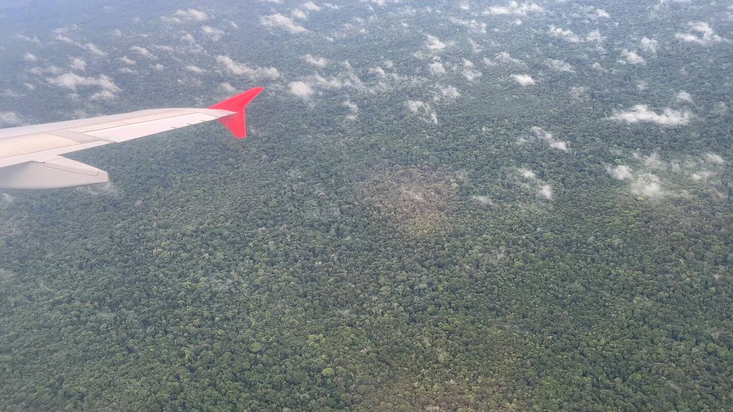 Amazonas, wir kommen! Regenwald, so weit das Auge reicht
