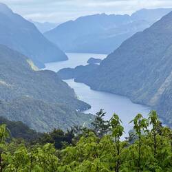 Blick auf den Doubtful Sound