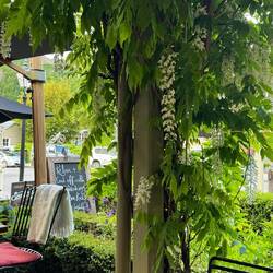 Postmasters Kitchen + Bar