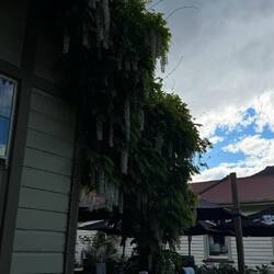 Postmasters Kitchen + Bar