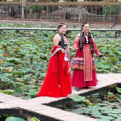 The lotus ponds at the base of Hang Mua
