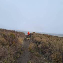 Ein Hauch von norwegischem Hochland