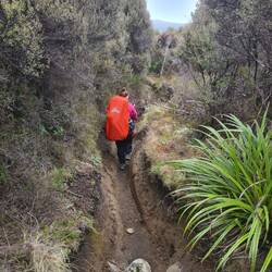 Am nächsten Tag ging es noch 10 km durch die Furchen ausgetrockneter Flussbetten