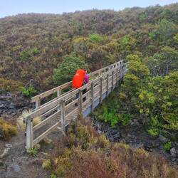 Am Ende wurde es wieder grüner. Danach ging es per Anhalter in die nächste Ortschaft