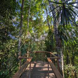 Unser eigener Skywalk 😊