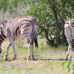 ... aber meistens eher nicht 😉