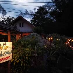 Monkey on the run 😂😂😂!