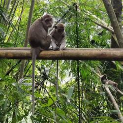Voll zöss 🤗🤗🤗!