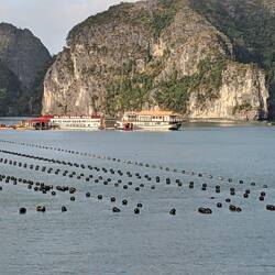 Ha Long Pearl Farm