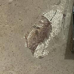 Mosaic fish in an inch of water - today, it changes.