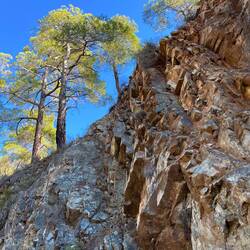 Diese Abgeschiedenheit genießen auch..