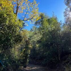 ..hier genug Platz um sich zu entfalten!