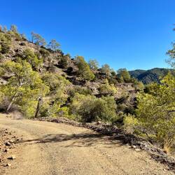 ..mich ab hier nur mehr die Natur umgibt.