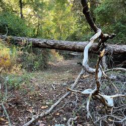 ..das Vorankommen manchmal etwas schwierig macht.
