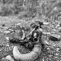 Leider ist das Kraxeln auch oftmals nicht ganz ungefährlich 😔