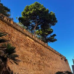 Top of the community garden