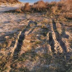 Sieht eigentlich nicht so schlimm aus🤷‍♂️🤷‍♀️