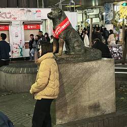 Shibuya station hachiko statue
