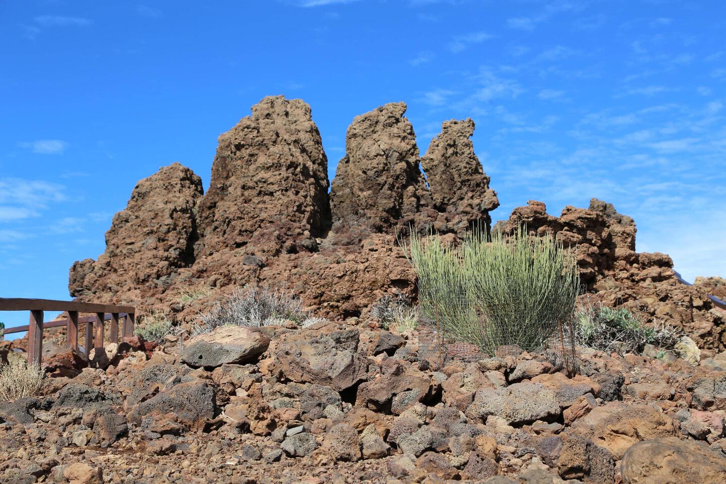 Roque de Los Muchachos