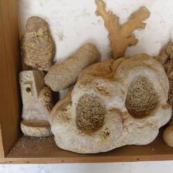 Genauso wie der Schädel dieses zweitausend Jahre alten Gorilla