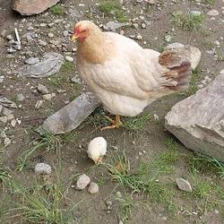 Mutter mit Tochter