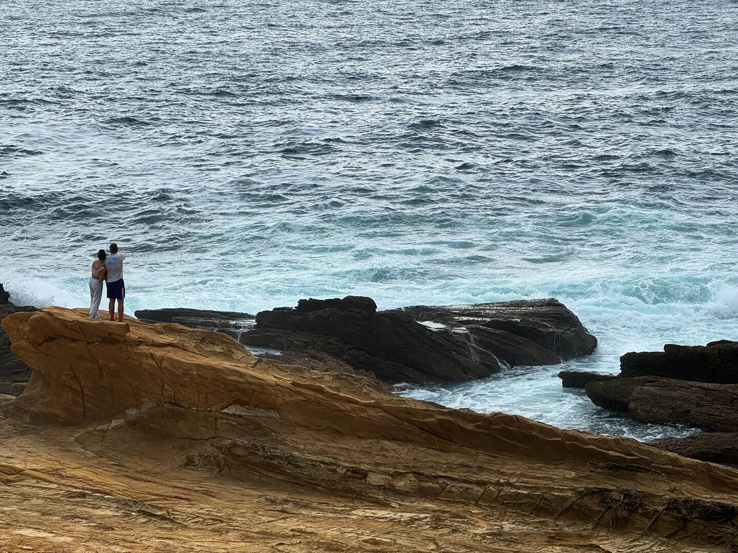 Dort haben wir die Wale gesehen.