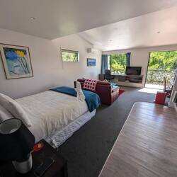 Bedroom/living room