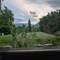 View from the window