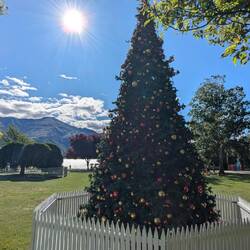 Endlich kommt man mal in Weihnachtsstimmung
