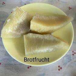 Brotfrucht