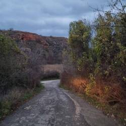 Wir fahren runter an den Strand