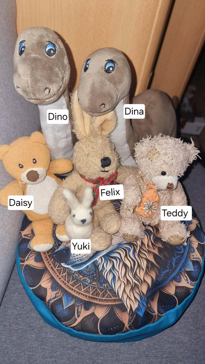 Auf dem Bild fehlen Teddy2, Stinker und Hundi🤣