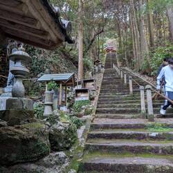 I was tired, so I almost cried when I saw the steps up to the Hondo and Daishido