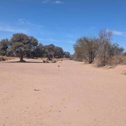 Flussbett in der Regenzeit auch kurzfristig gefüllt